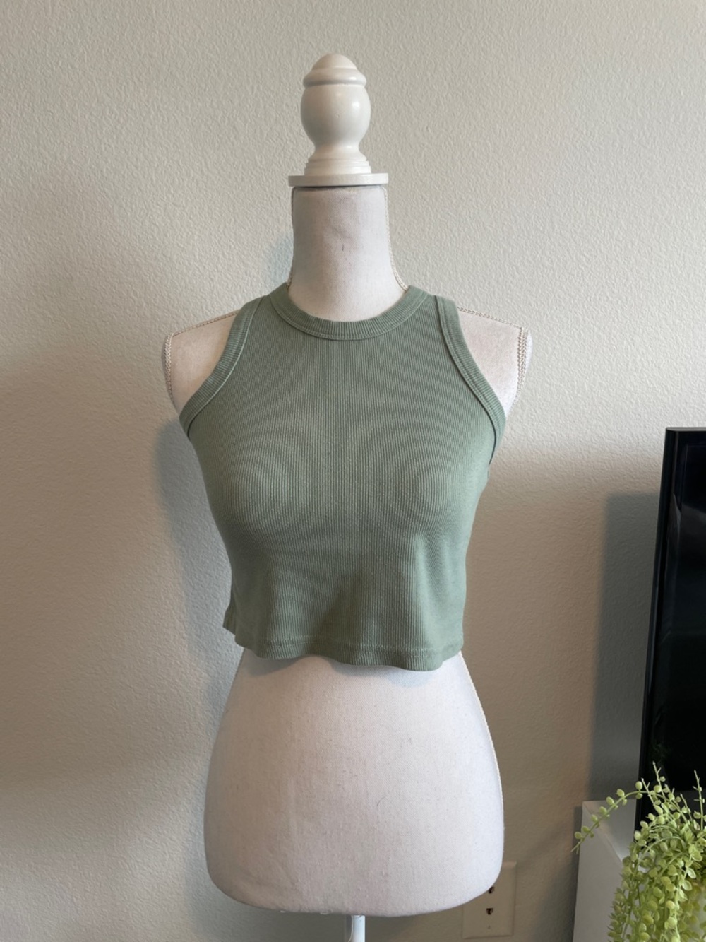 Sage Green Ribbed High-Neck Crop Tank